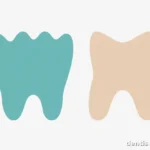 Braces vs. Aligners: An Overview of Orthodontic Options comparison-style illustration