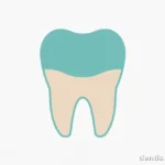 Dental Crowns Explained diagram-style tooth illustration