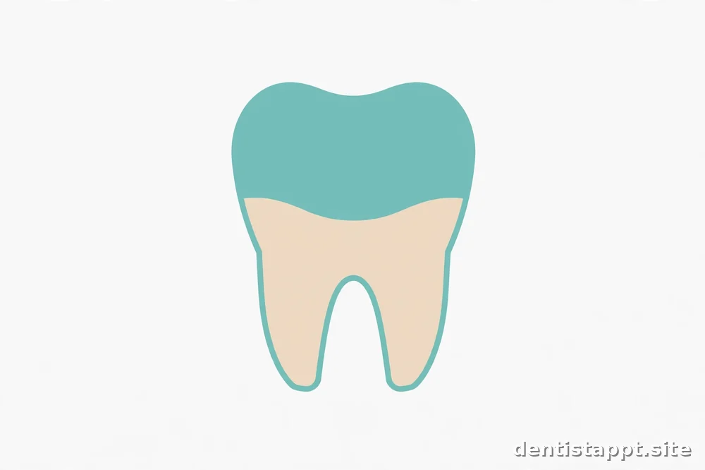 diagram-style tooth illustration